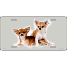 Chihuahua Metal Breed License Plate