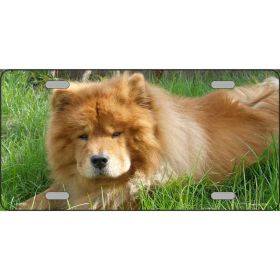 Chow Chow  Metal Breed License Plate