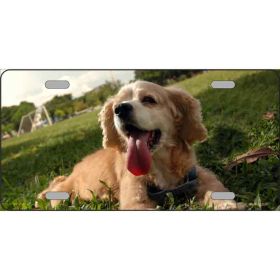 Cocker Spaniel Metal Breed License Plate