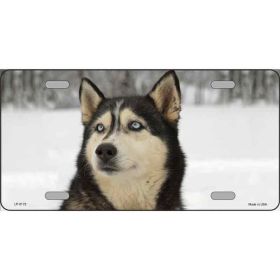 Siberian Husky Metal Breed License Plate