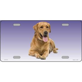 Labrador Retriever - Yellow - Metal Breed License Plate