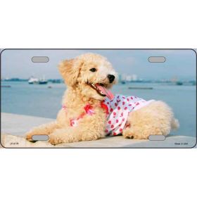 Poodle Metal Breed License Plate