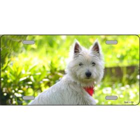 West Highland White Terrier Metal Breed License Plate