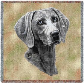 Weimaraner - Lap Square Cotton Woven Blanket Throw