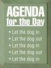 Agenda for the Day