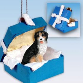 Bernese Mountain Dog - Blue Gift Box Ornament