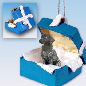 German Short Hair - Blue Gift Box Ornament