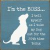 I'm The Boss