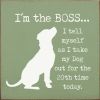 I'm The Boss