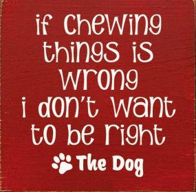 If Chewing Things Is Wrong