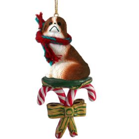 Japanese Chin - Brown and White - Candy Cane Ornament