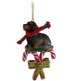 Dachshund - Wire Haired - Candy Cane Ornament