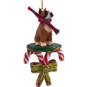 Boxer - Candy Cane Ornament