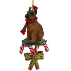 Boxer - Tawny - Candy Cane Ornament