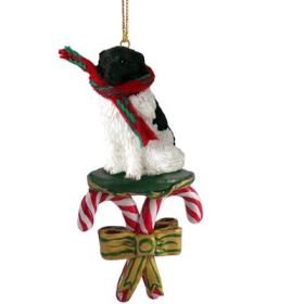 Newfoundland Landseer - Candy Cane Ornament