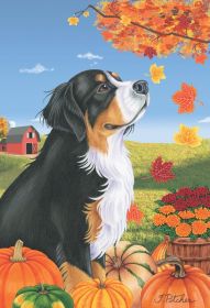 Bernese Mountain Dog - Best of Breed Autumn Leaves Garden Flag