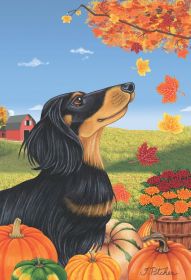 Dachshund - Black and Tan - Longhaired - Best of Breed Autumn Leaves Garden Flag