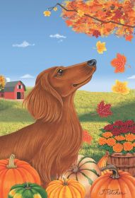 Dachshund - Red - Longhaired - Best of Breed Autumn Leaves Garden Flag