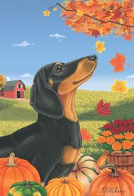 Dachshund - Black and Tan - Best of Breed Autumn Leaves Garden Flag