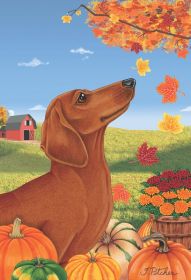 Dachshund - Red - Best of Breed Autumn Leaves Garden Flag