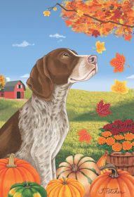 German Shorthaired Pointer - Best of Breed Autumn Leaves Garden Flag