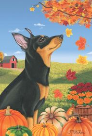 Min Pin - Black and Tan - Cropped - Best of Breed Autumn Leaves Garden Flag