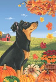 Min Pin - Black and Tan - Uncropped - Best of Breed Autumn Leaves Garden Flag