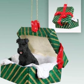 Schnauzer - Black - Uncropped - Green Gift Box Ornament