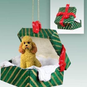 Poodle - Sport Cut - Apricot - Green Gift Box Ornament