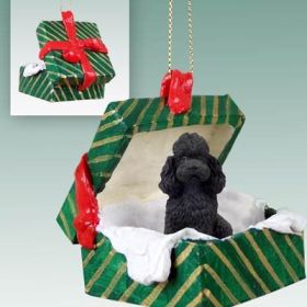 Poodle - Sport Cut - Black - Green Gift Box Ornament