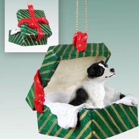 Jack Russell Terrier - Black and White - Smooth Coat - Green Gift Box Ornament