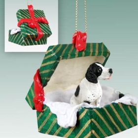 Pointer - Black and White - Green Gift Box Ornament