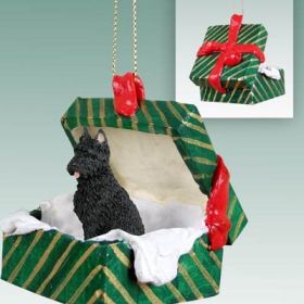 Bouvier Green Gift Box Ornament