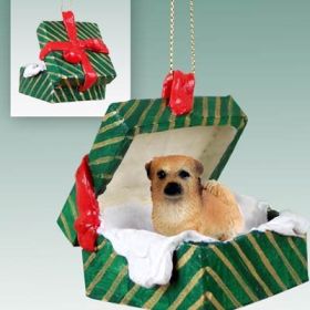 Tibetan Spaniel Green Gift Box Ornament