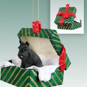 Schnauzer - Black - Green Gift Box Ornament