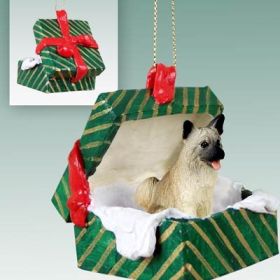 Akita - Fawn - Green Gift Box Ornament