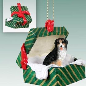 Bernese Mountain Dog Green Gift Box Ornament