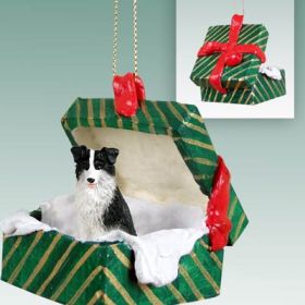 Border Collie Green Gift Box Ornament