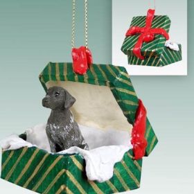 German Shorthaired Pointer -  Green Gift Box Ornament