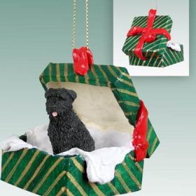 Bouvier - Uncropped - Green Gift Box Ornament