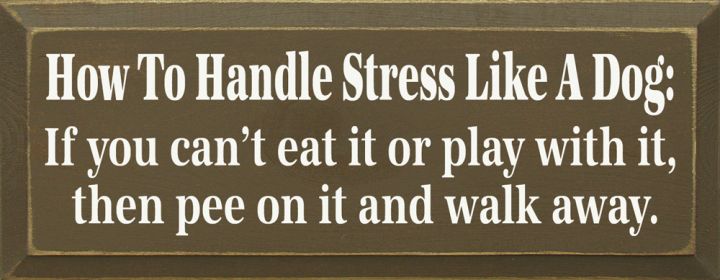 How to Handle Stress Like a Dog