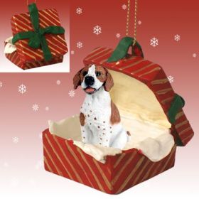 Pointer - Brown and White - Red Gift Box Ornament