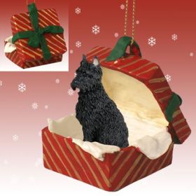 Bouvier Red Gift Box Ornament