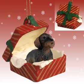 Dachshund  - Wirehaired - Red Gift Box Ornament