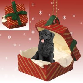 Newfoundland Red Gift Box Ornament