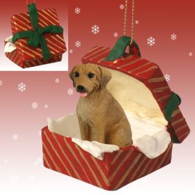 Rhodesian Ridgeback Red Gift Box Ornament