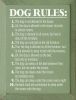 Dog Rules: Funny Sign