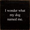 I Wonder What My Dog Named Me