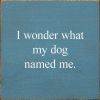 I Wonder What My Dog Named Me