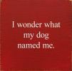 I Wonder What My Dog Named Me